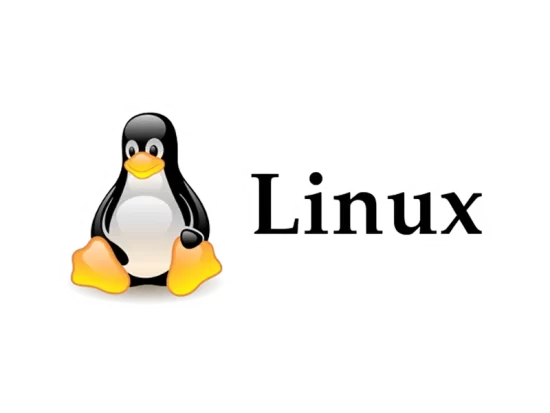 linux logo 800x600 1